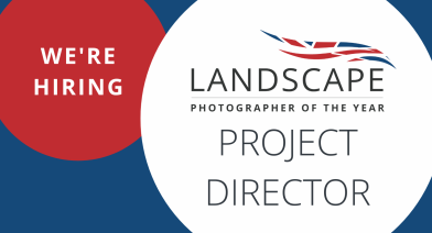 PROJECT DIRECTOR